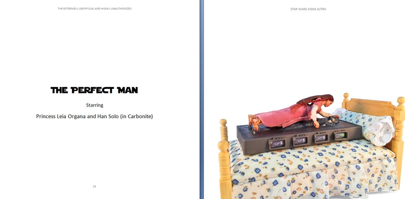 Illustration for article titled Star Wars Kama Sutra Book Is Surprisingly SFW